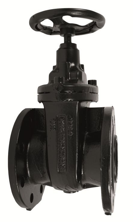 PTS Gate Valve